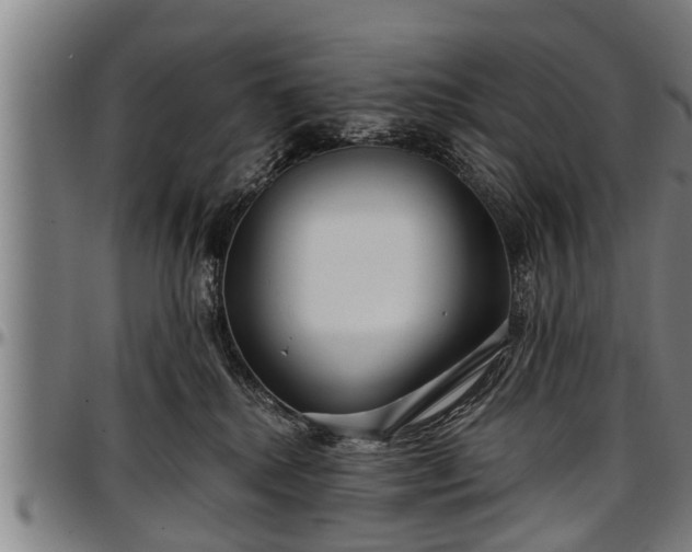 X0000097470280200802291318