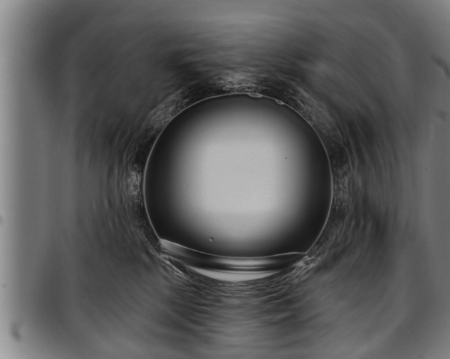 X0000097470281200802291318