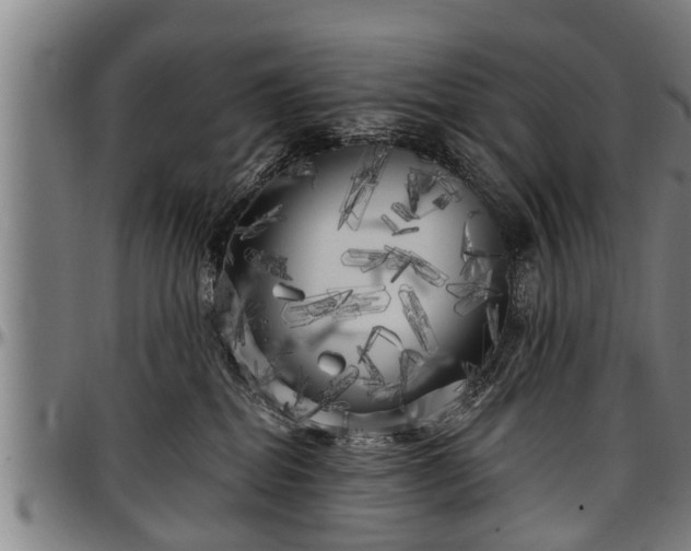 X0000097470282200802291318