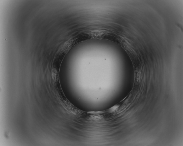 X0000097470283200802291318