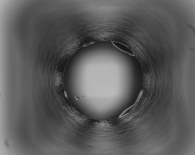 X0000097470284200802291318