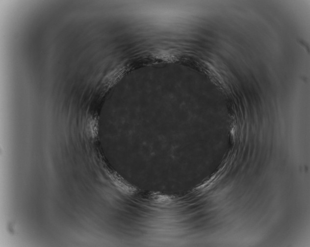 X0000097470285200802291318