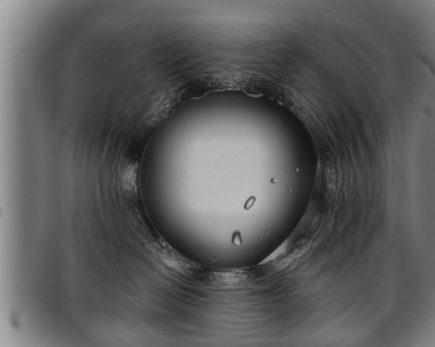 X0000097470286200802291318