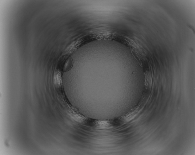 X0000097470287200802291318