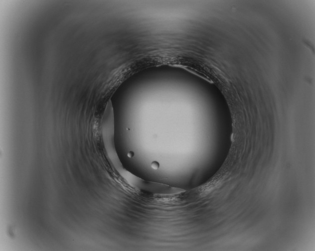 X0000097470288200802291318