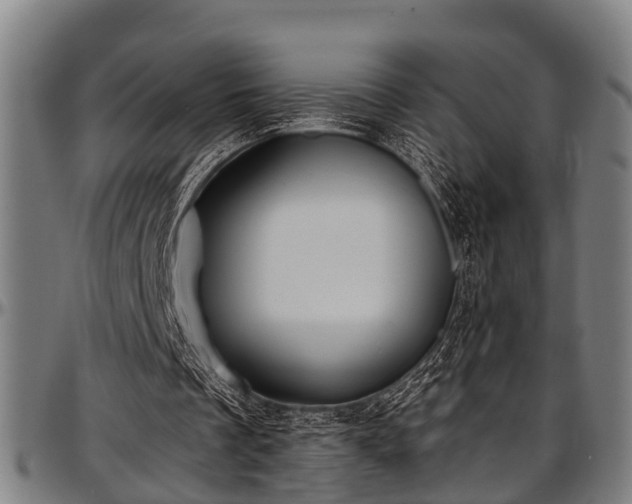 X0000097470289200802291318