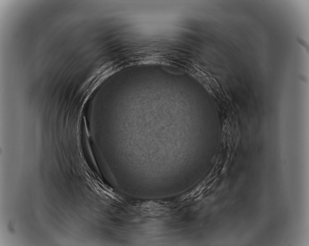 X0000097470290200802291318