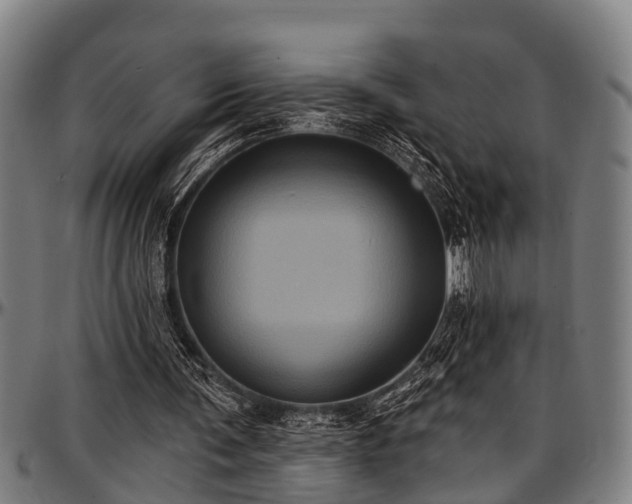 X0000097470291200802291318