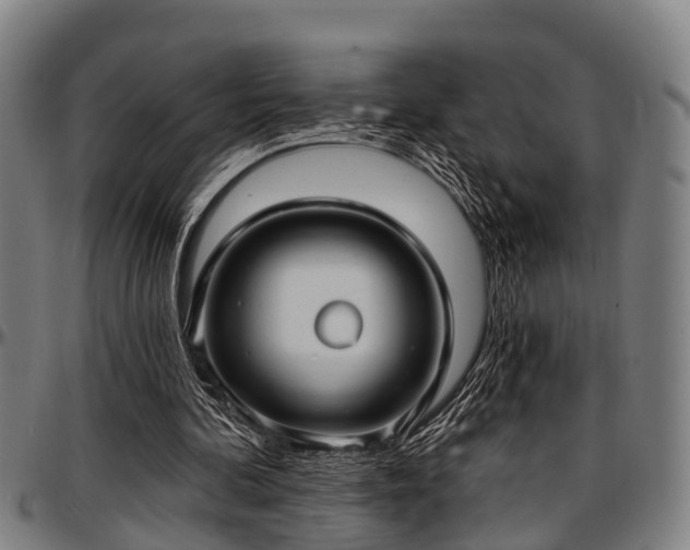 X0000097470292200802291318