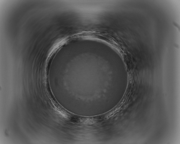 X0000097470293200802291318