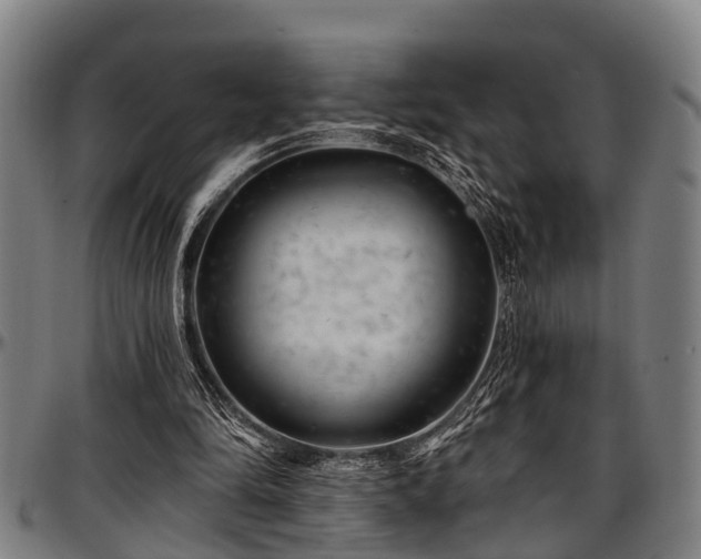 X0000097470294200802291317