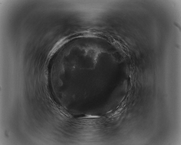 X0000097470295200802291317