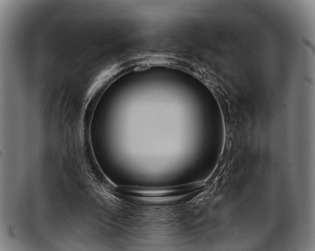 X0000097470296200802291317
