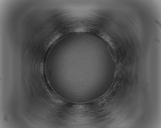 X0000097470297200802291317