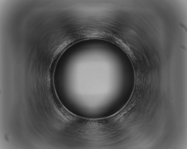 X0000097470298200802291317
