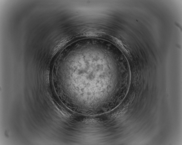 X0000097470299200802291317