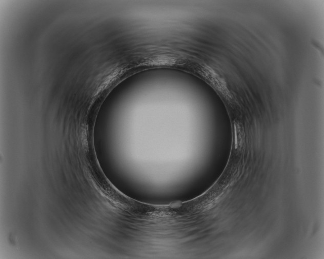 X0000097470300200802291317