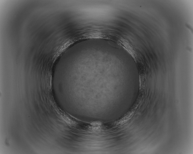X0000097470301200802291317