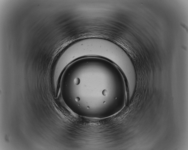 X0000097470302200802291317