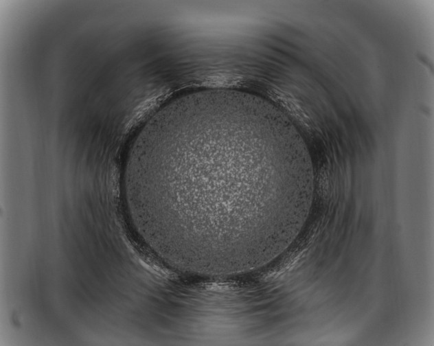 X0000097470303200802291317