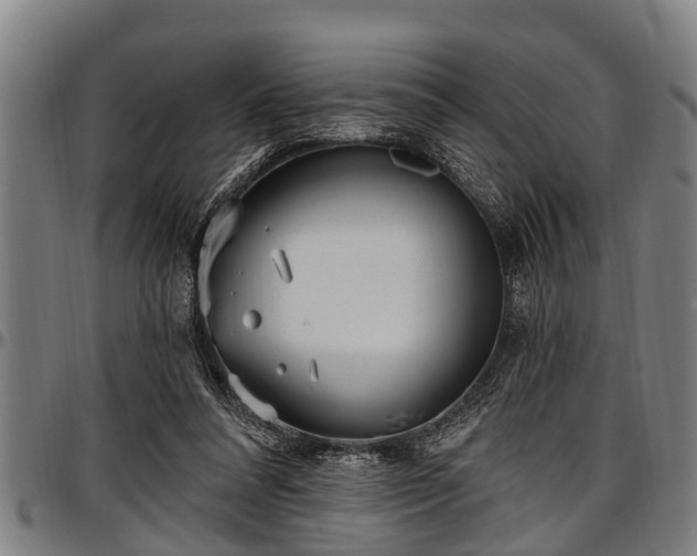 X0000097470304200802291317