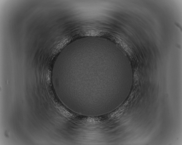X0000097470305200802291317
