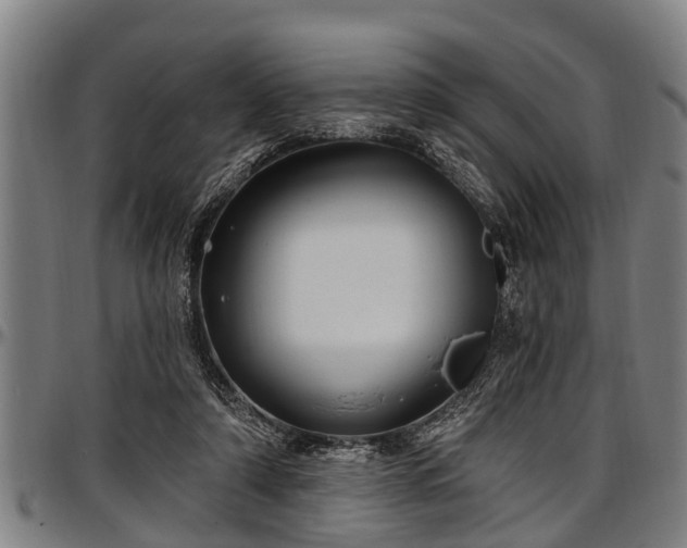 X0000097470306200802291317