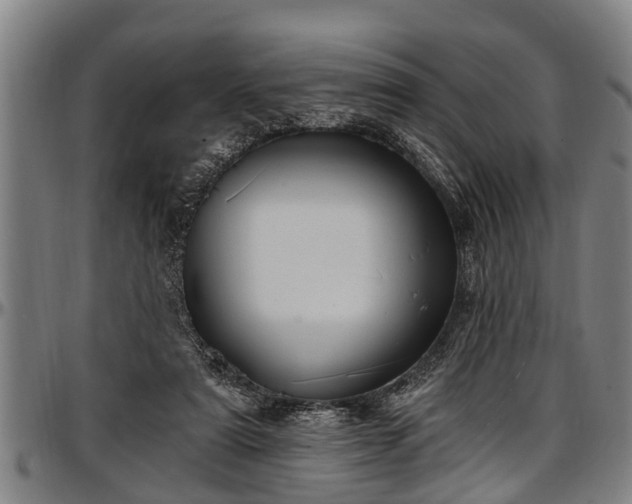 X0000097470307200802291317