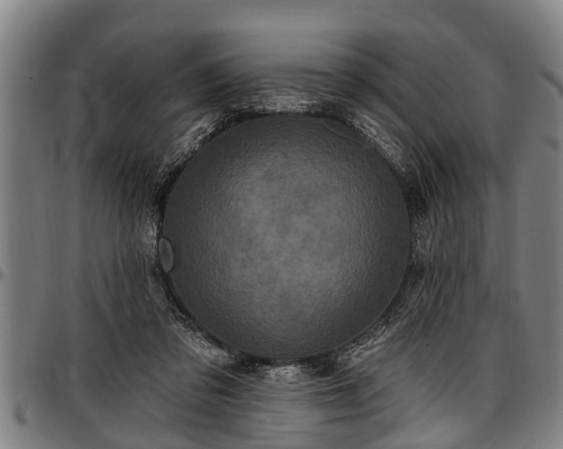 X0000097470309200802291317