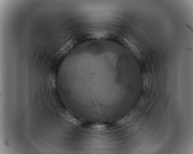 X0000097470313200802291317