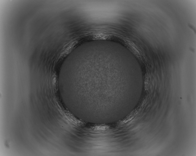 X0000097470314200802291317