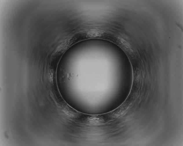 X0000097470315200802291317