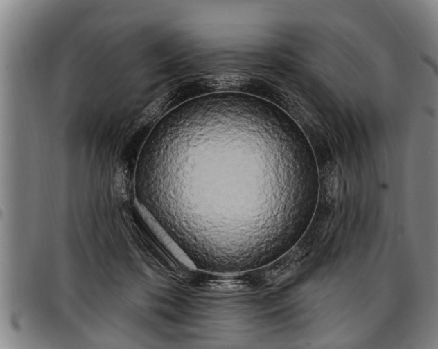 X0000097470316200802291317