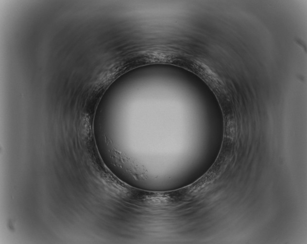 X0000097470318200802291317