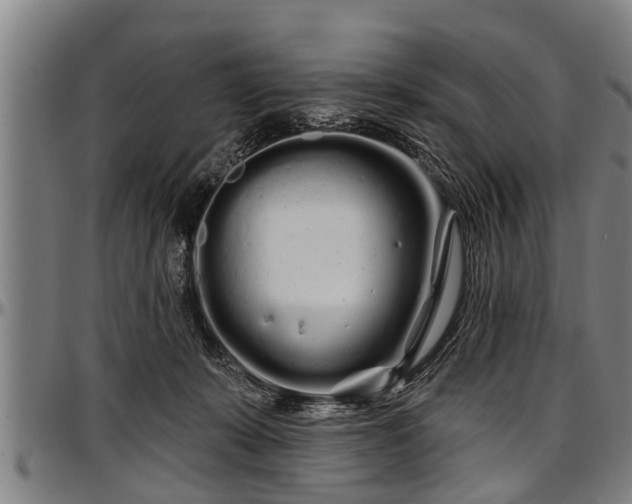 X0000097470319200802291317
