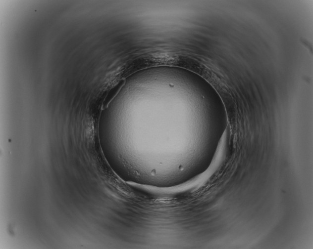 X0000097470320200802291317