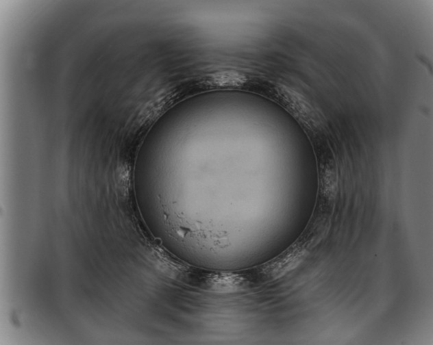 X0000097470321200802291317