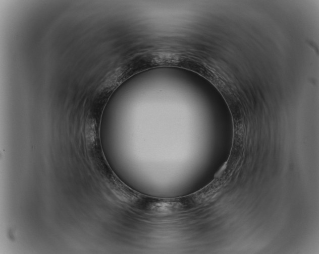 X0000097470323200802291317