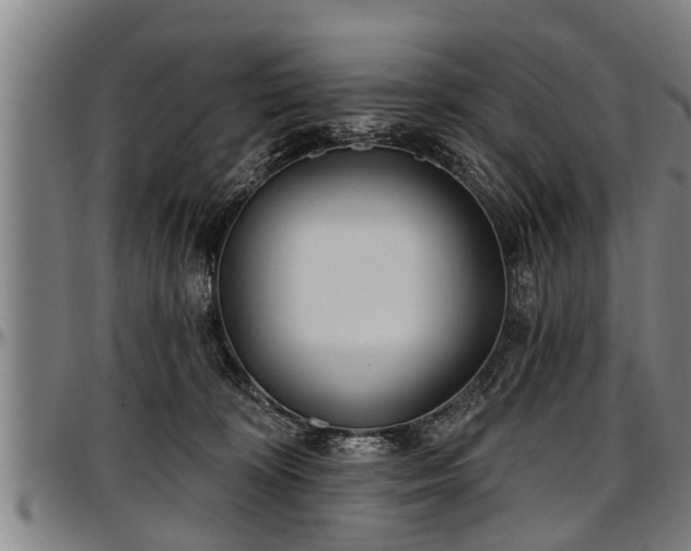 X0000097470324200802291317