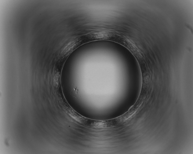 X0000097470325200802291317