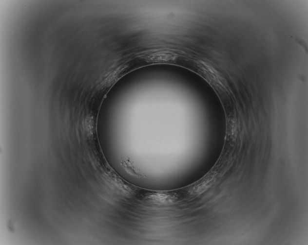 X0000097470326200802291317
