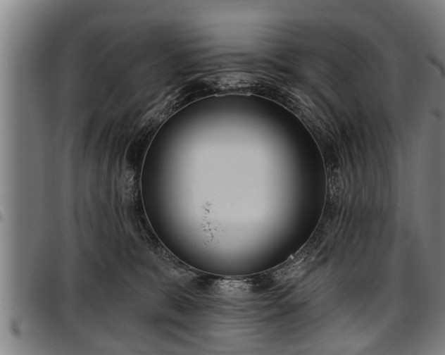 X0000097470327200802291317