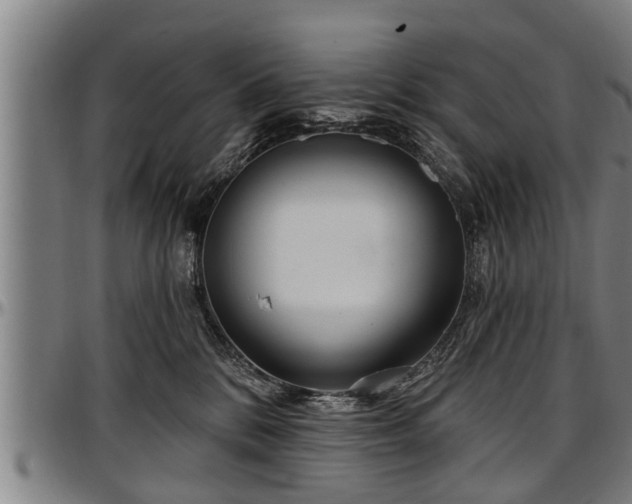 X0000097470328200802291317