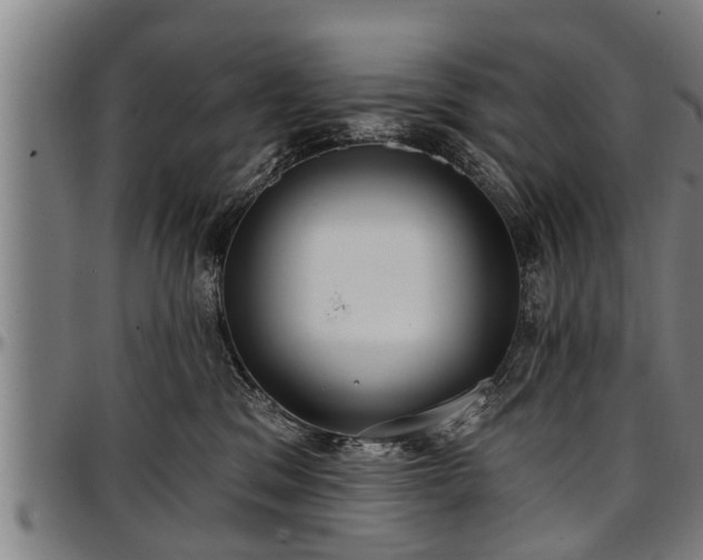 X0000097470329200802291317