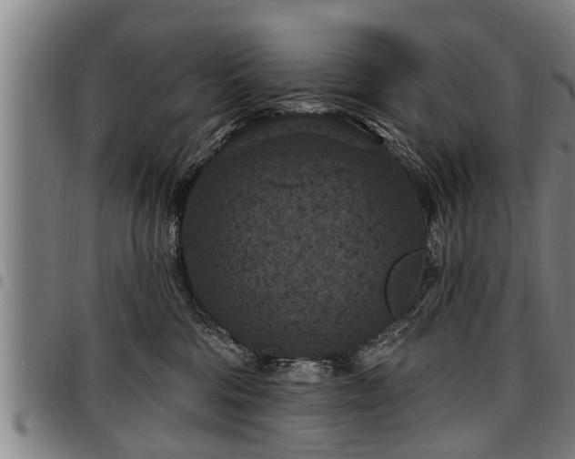 X0000097470330200802291317