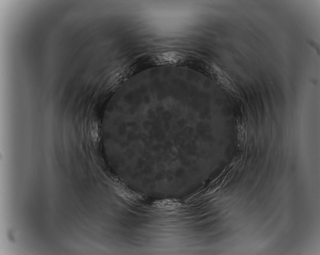 X0000097470331200802291317