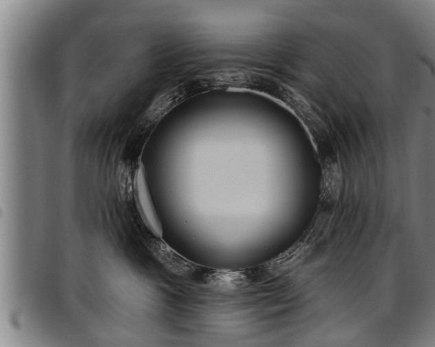 X0000097470333200802291317