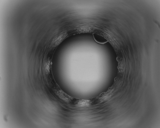 X0000097470334200802291317
