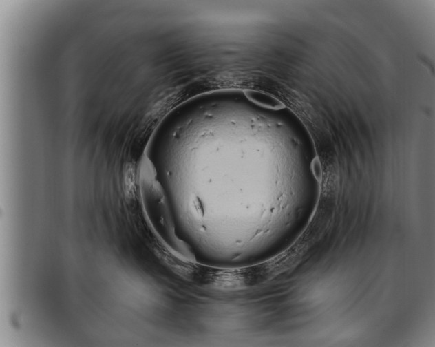 X0000097470335200802291317