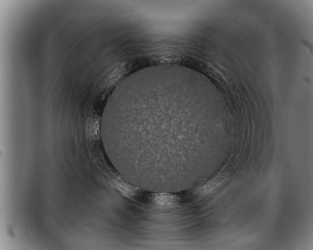 X0000097470336200802291317